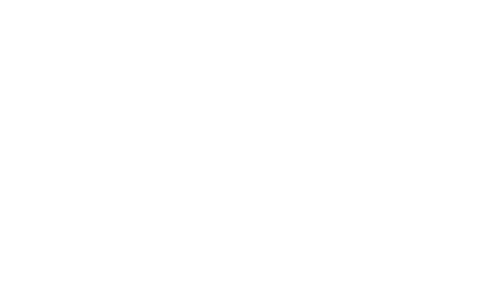 The Artist Studio